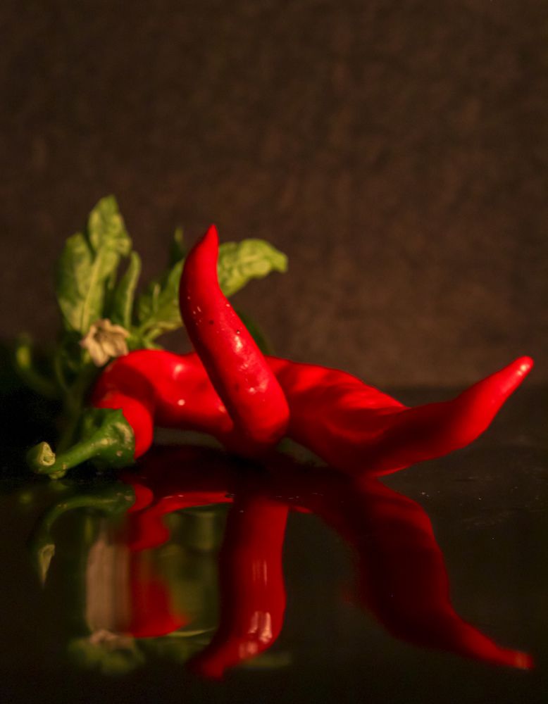 Photograph by Оксана Сафина