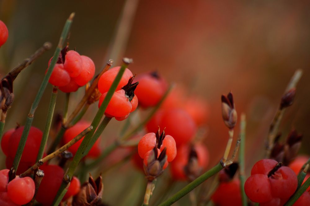 Photograph by Черкасов Сергей