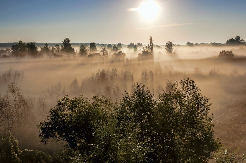 Полосы тумана на рассвете