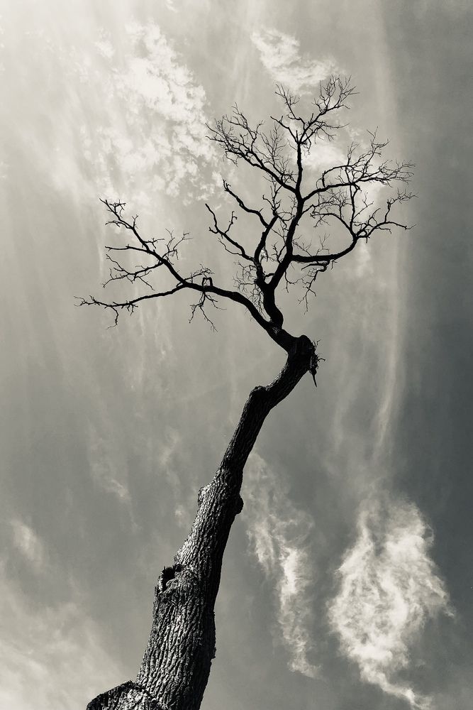 Photograph by Елизавета Варкентин