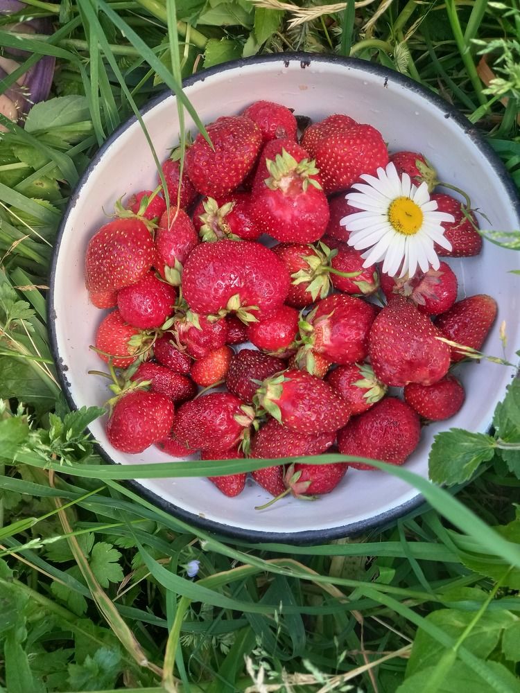 Photograph by Екатерина Хозяшева