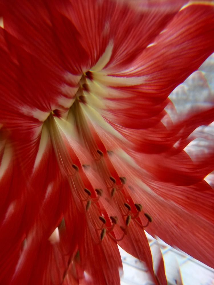 Photograph by Екатерина Хозяшева