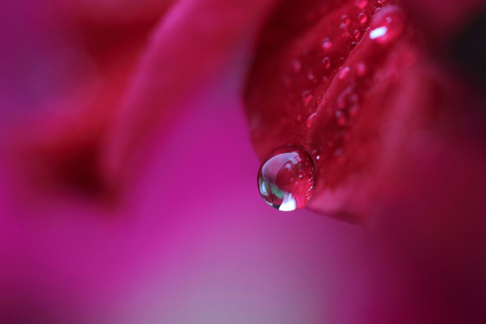 Фотография автора Кухта Мария