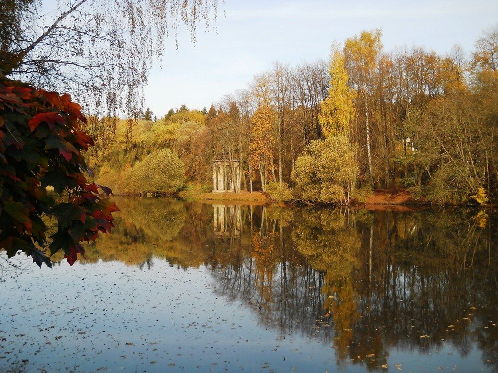 Photo #8087939