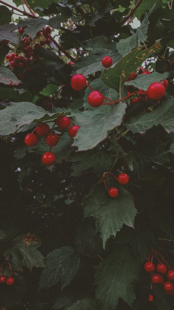 Photograph by Альбина Муртазина
