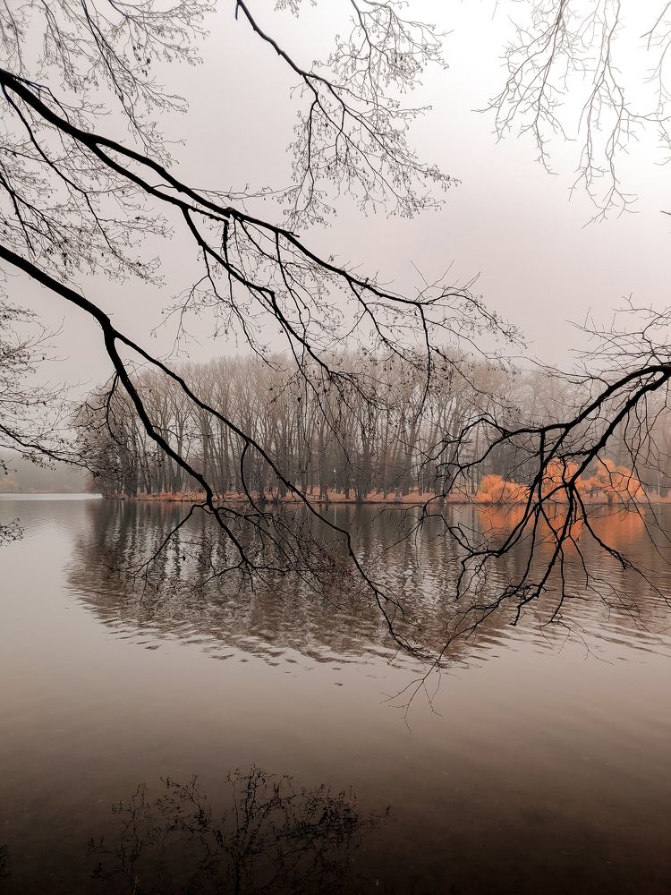 Photograph by Елена Башмакова