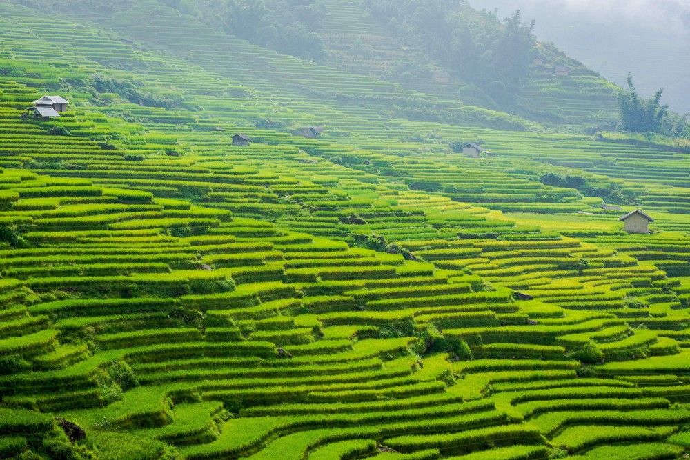 Photograph by Duc Nguyen