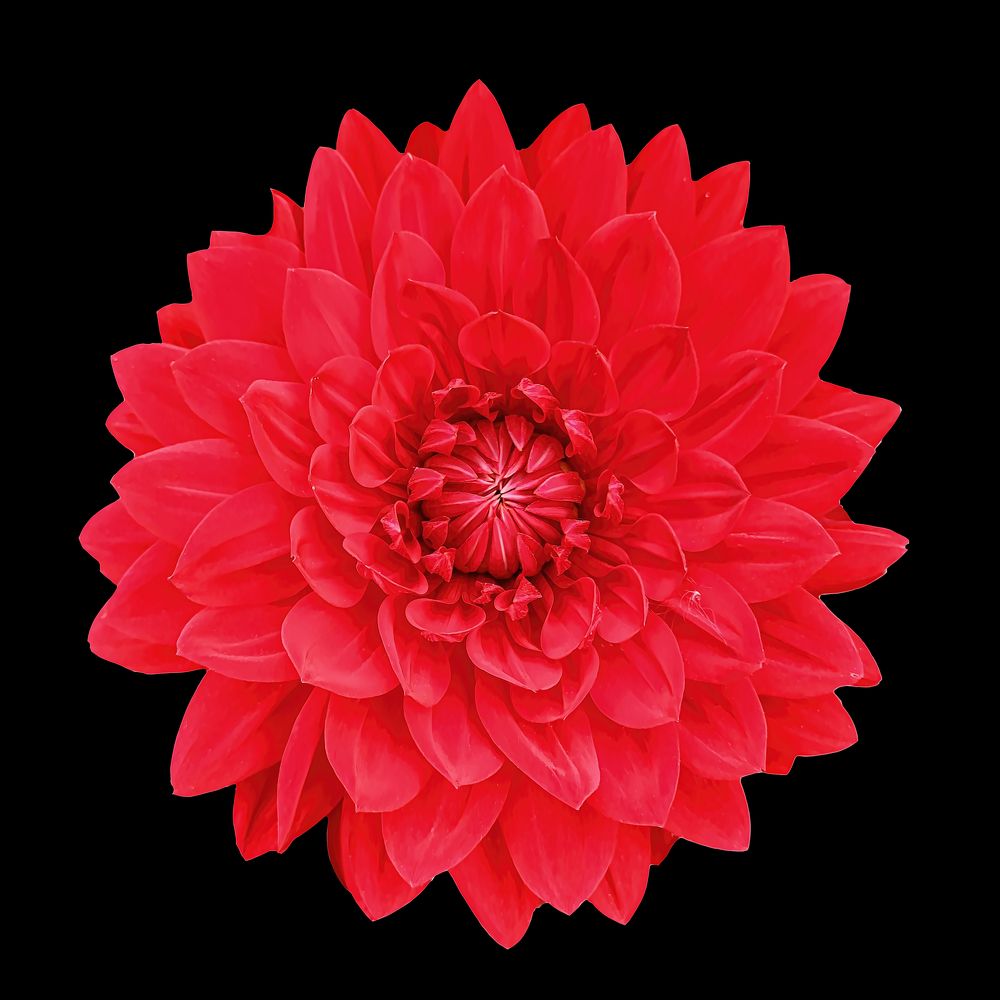 Photograph by Елена Невидимова