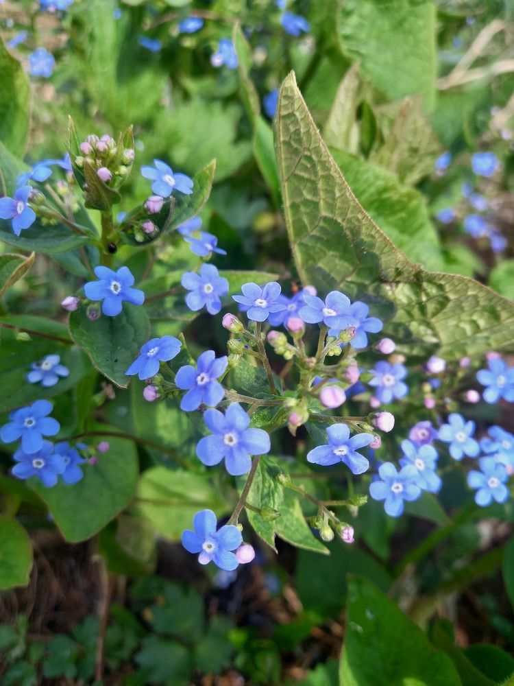 Photograph by Екатерина Хозяшева