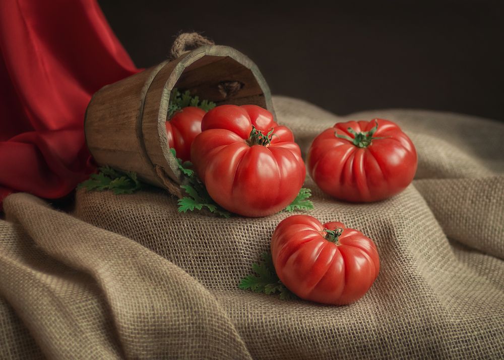 Photograph by Евгения Николова