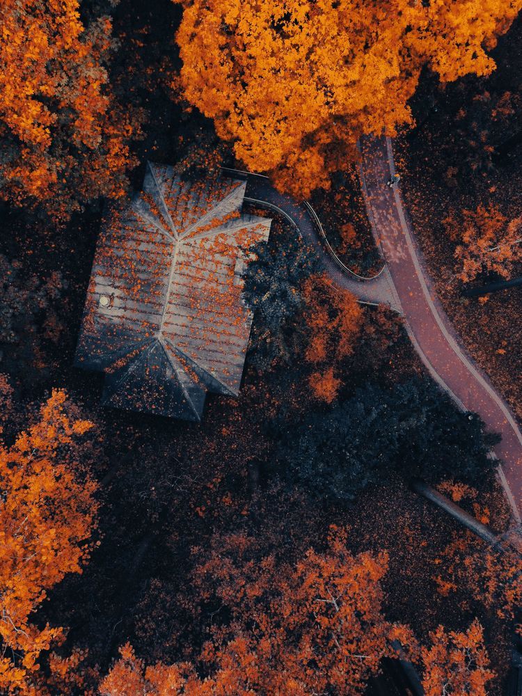 Photograph by Евгений Порсов