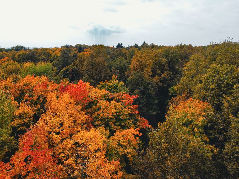 Photograph by Евгений Порсов