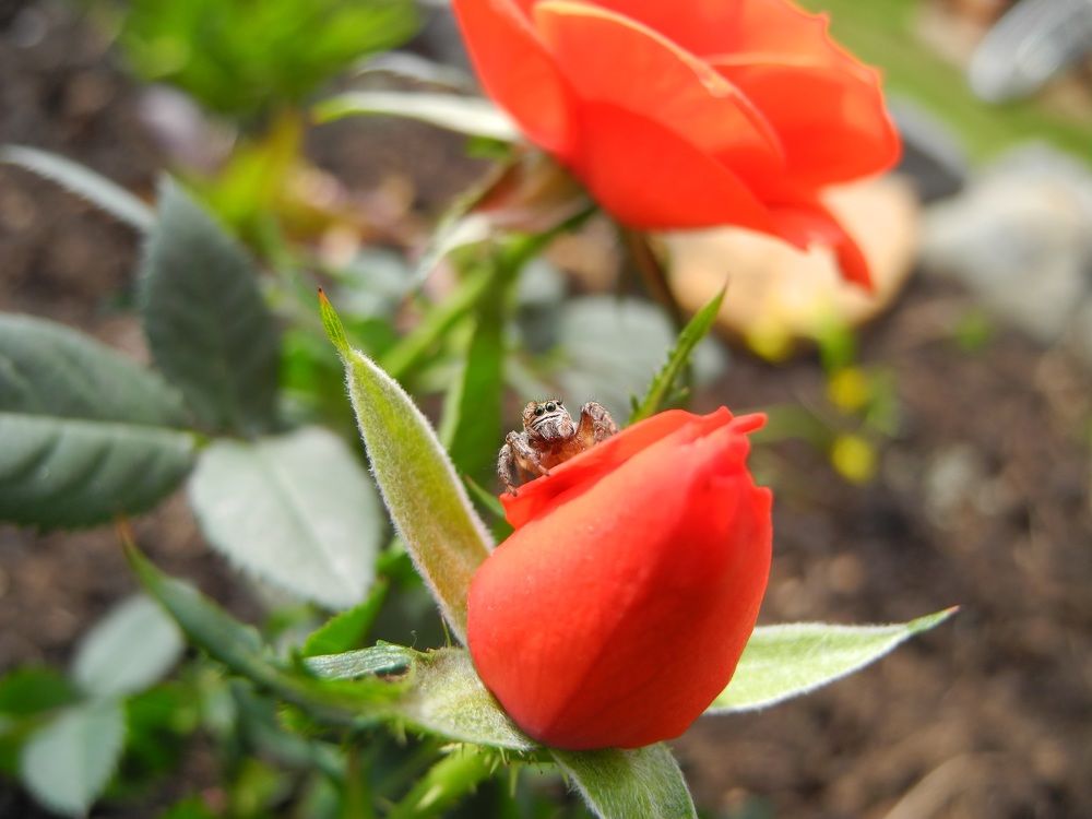 Photograph by Андрей Головин