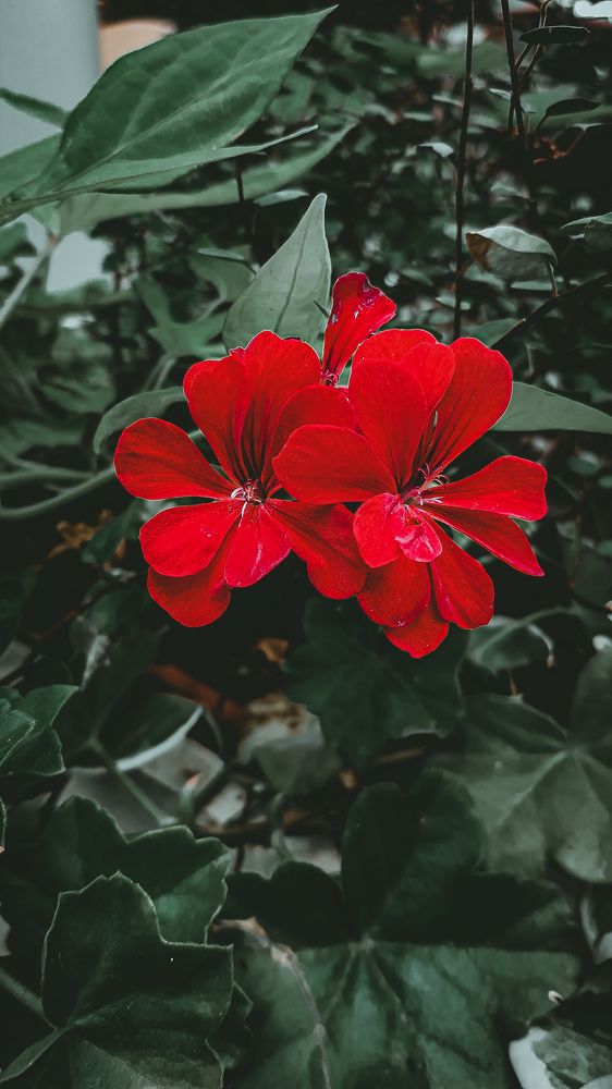 Photograph by Екатерина Мурсынина