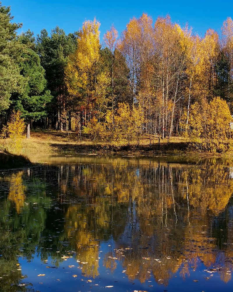 Photograph by Oxana Kostsova