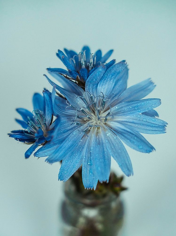 Photograph by Rogozina Olga