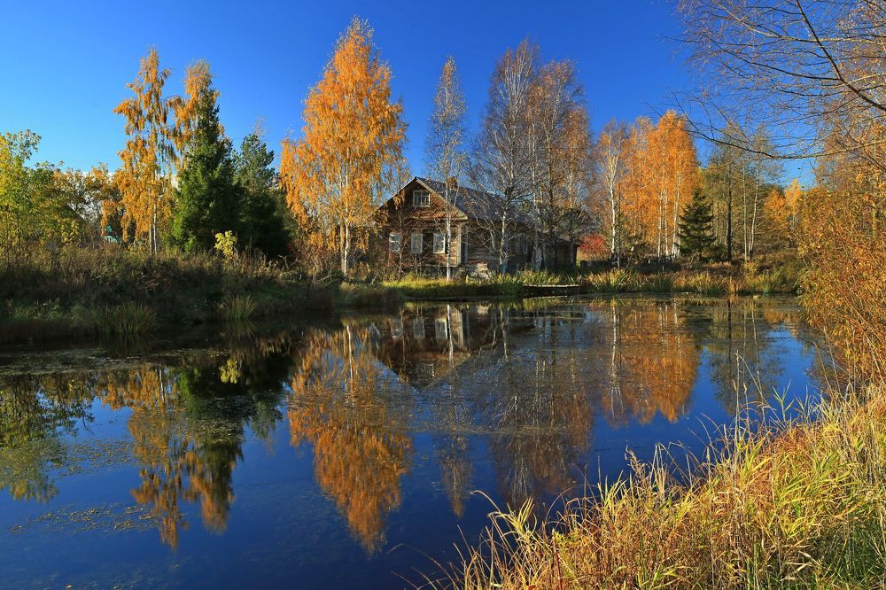 Фотография автора Юрий Кетель