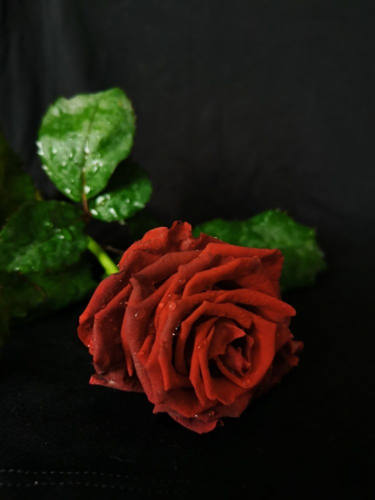 Photograph by Наталья Круглова