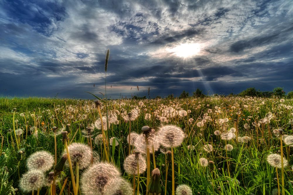 Photograph by Людмила ЧЕРНИКОВА