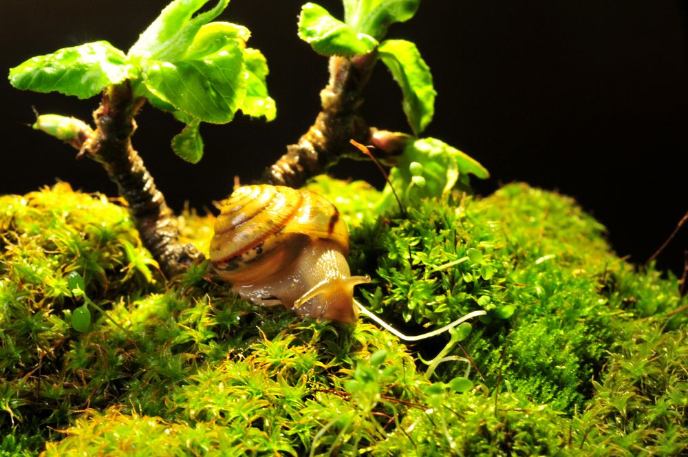 Photograph by Inessa Botasheva