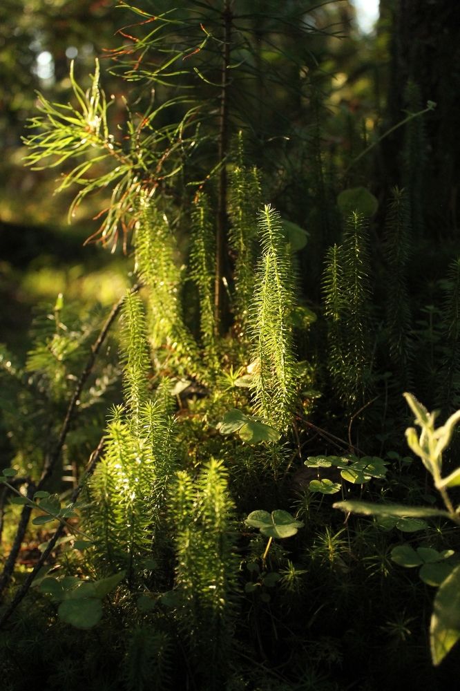 Photograph by Ekaterina