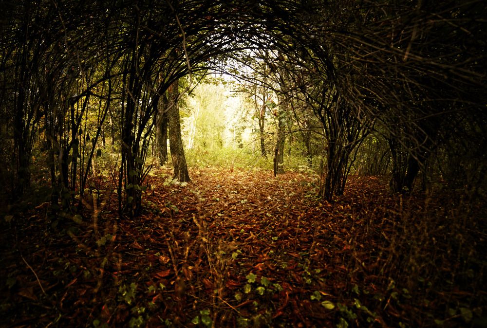 Photograph by Марианна Привроцкая