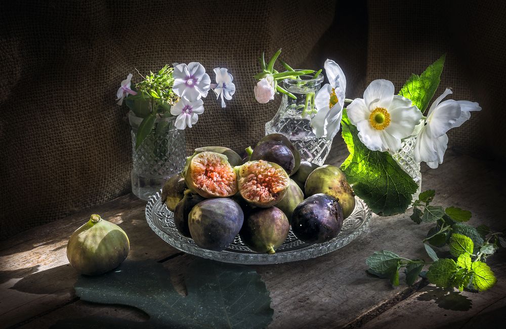 Фотография автора Milena Ivanova