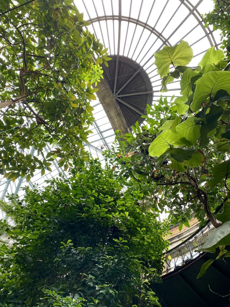 Photograph by Анастасия Тирская