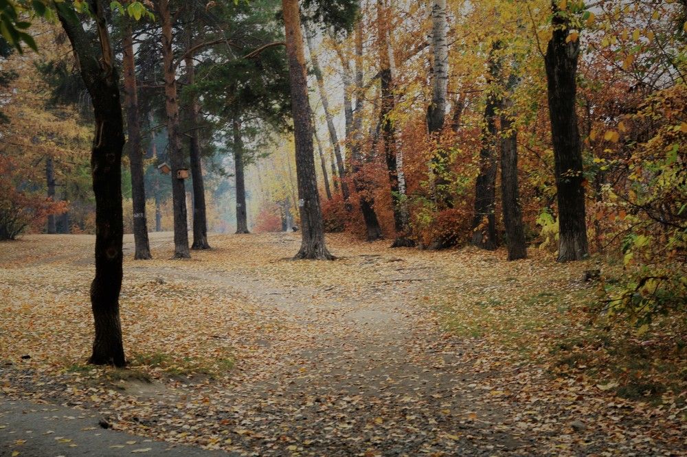 Photograph by Софья Белоногова