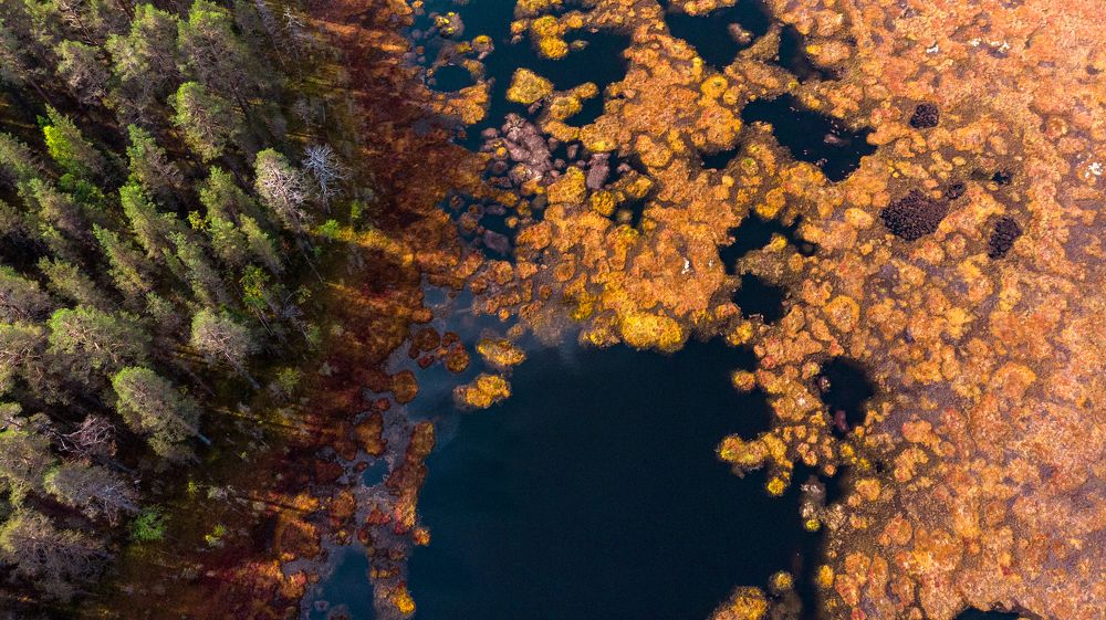 Photograph by Сергей Бадалов