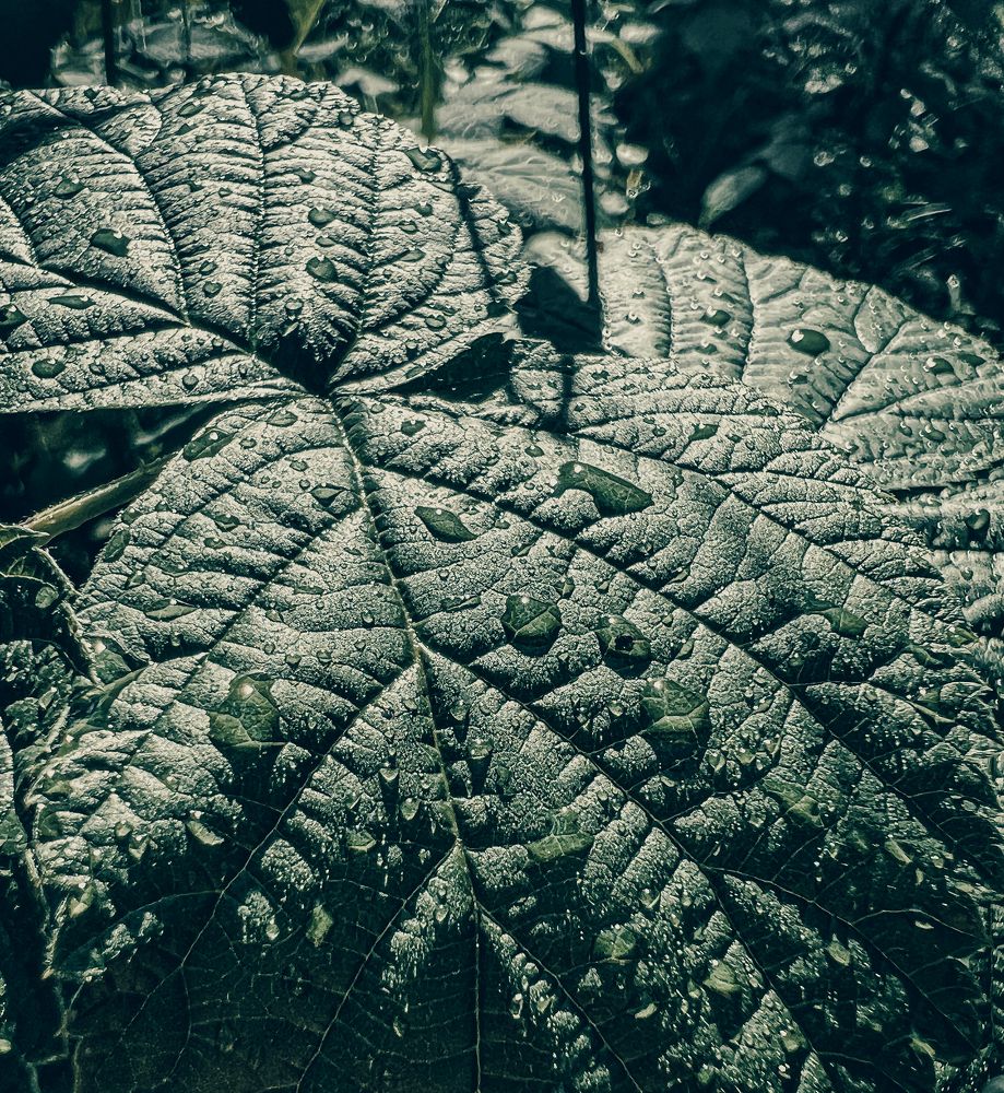 Photograph by Евгений Беляев