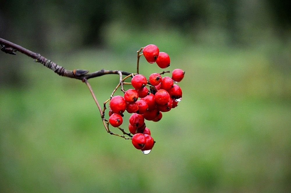 Photograph by Зинаида Фадеева