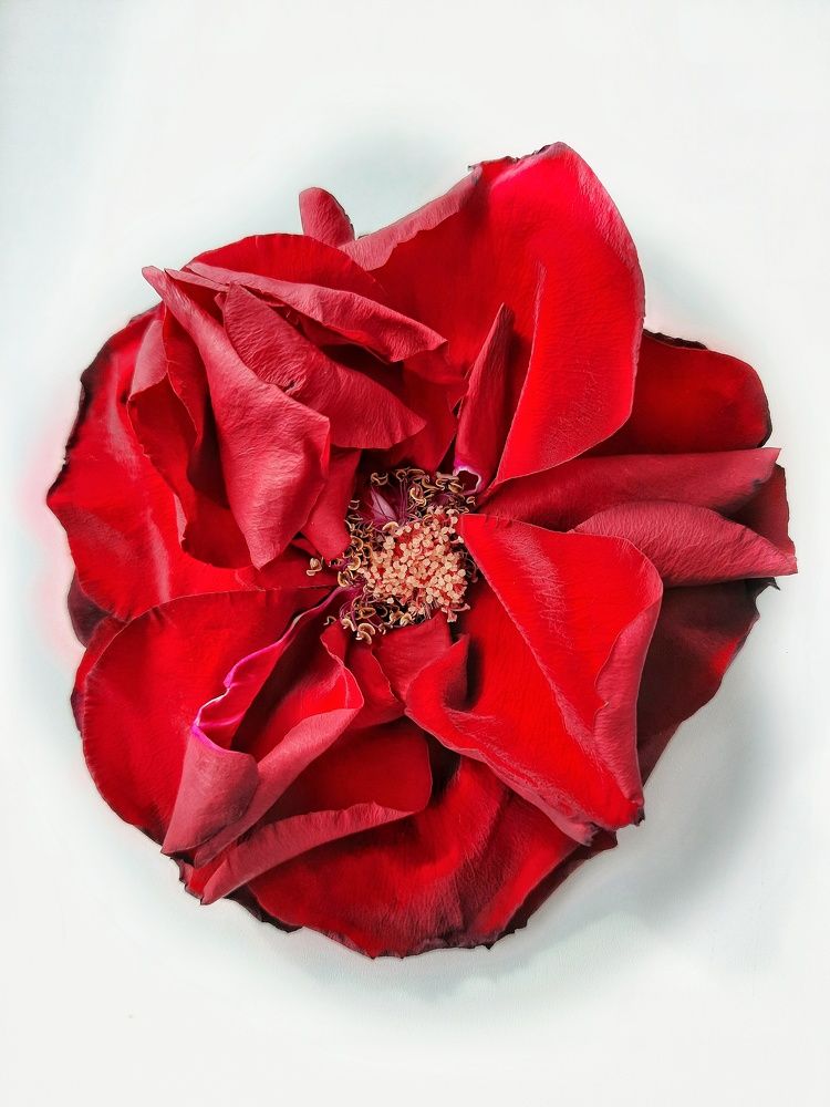 Photograph by Наталья Чередниченко