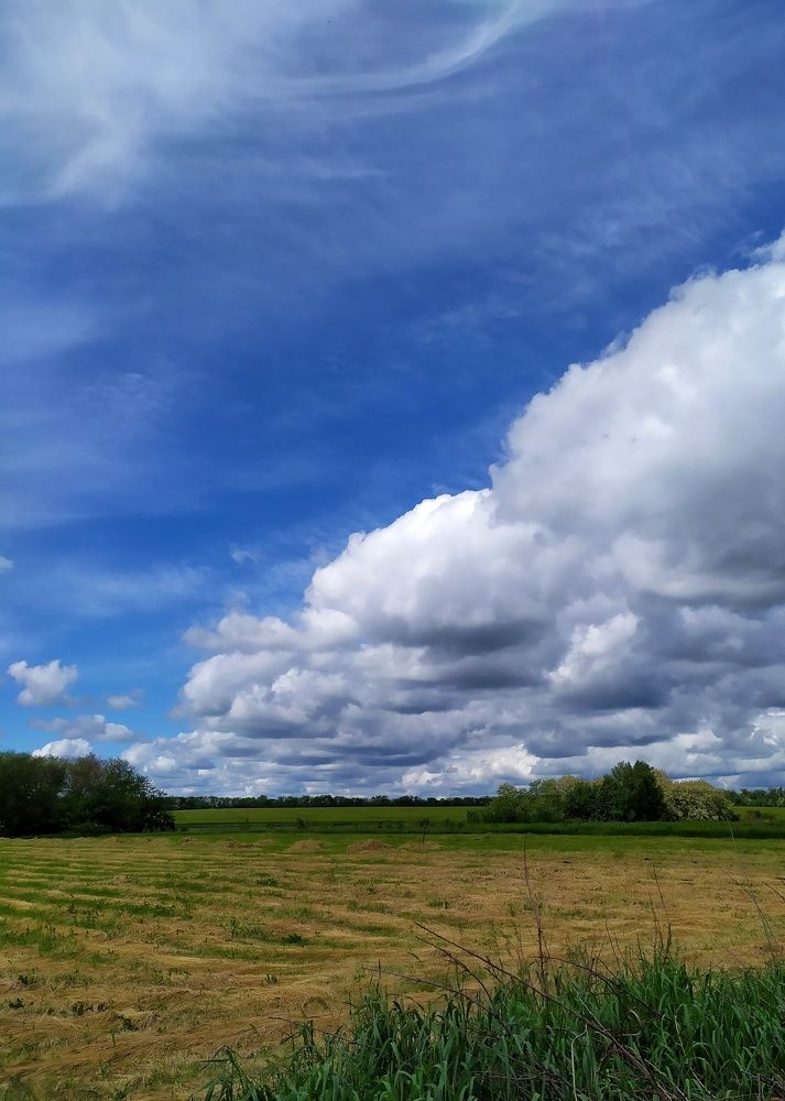 Photograph by Olga Gorokhova