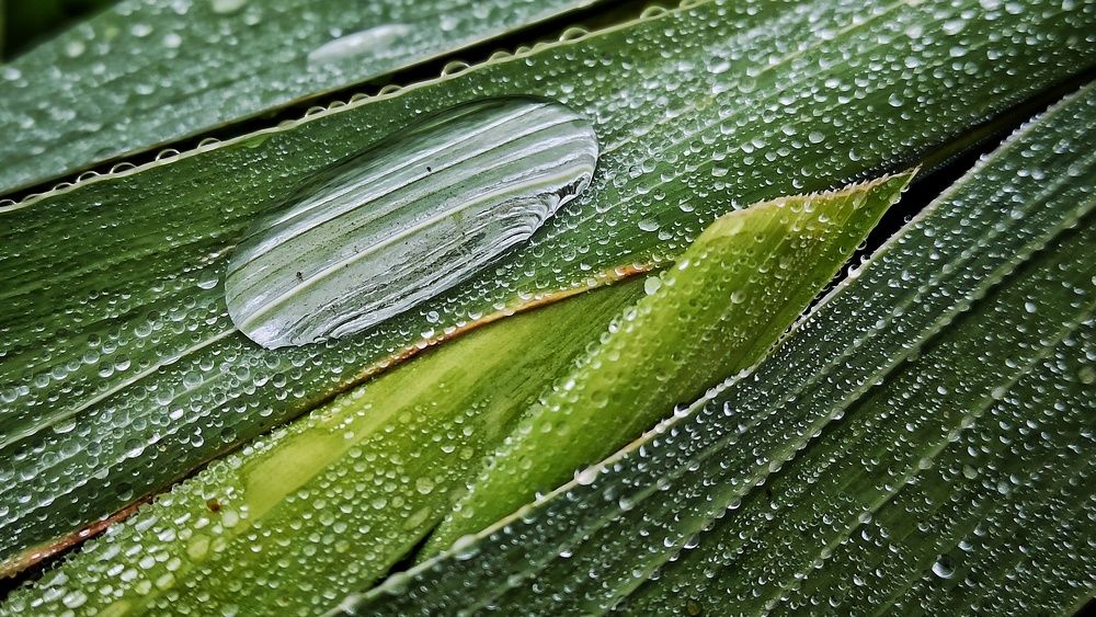 Photograph by Новикова Елена Сергеевна