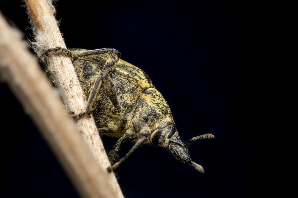 Фотография автора Nikolay Tatarchuk