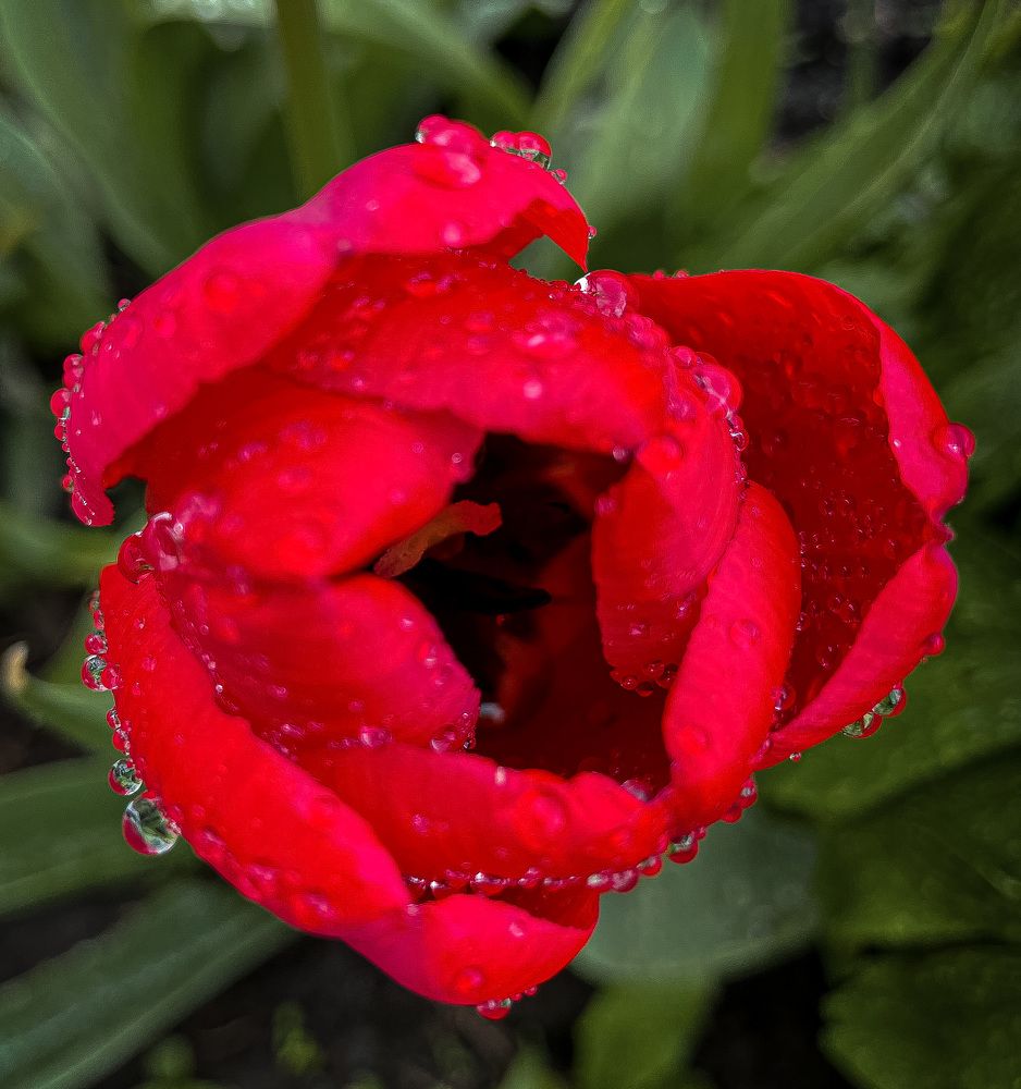 Photograph by Олеся Лагутина