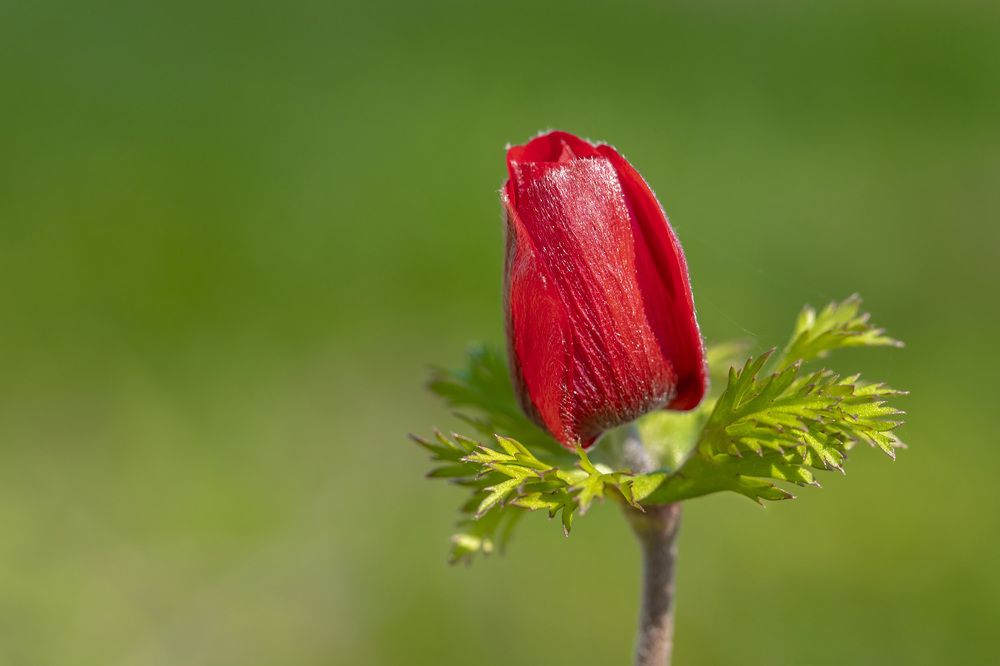 Фотография автора Nikolay Tatarchuk