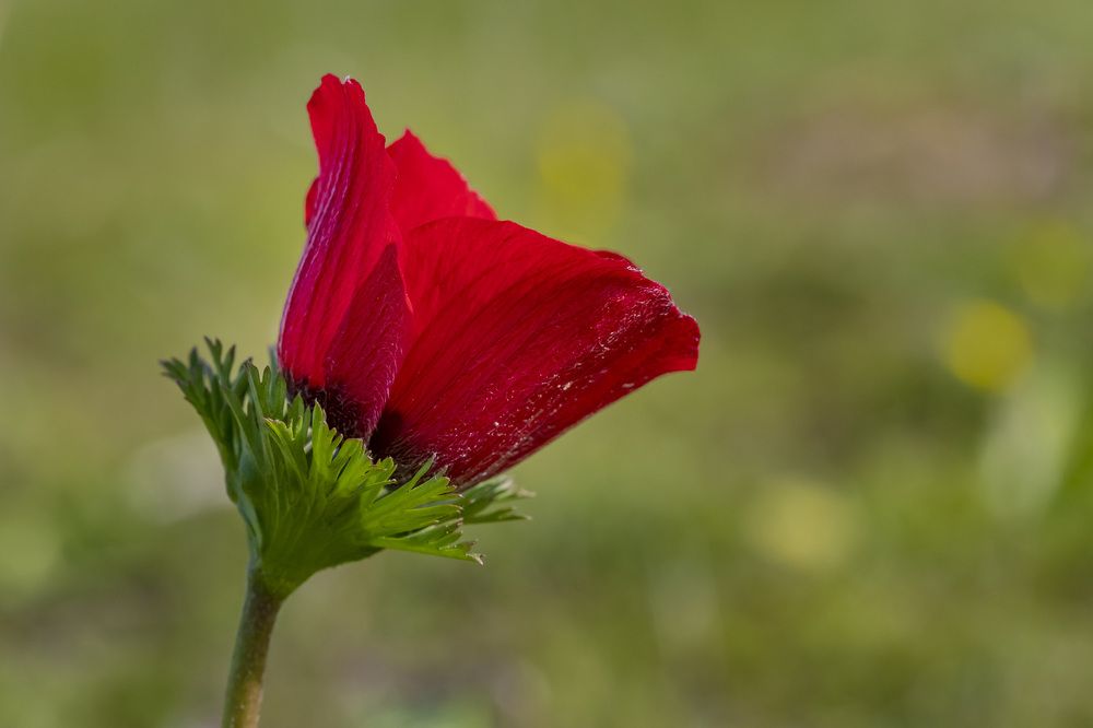 Фотография автора Nikolay Tatarchuk