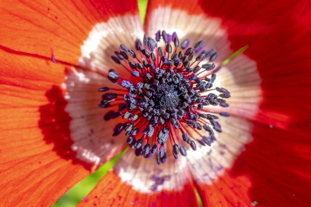 Фотография автора Nikolay Tatarchuk