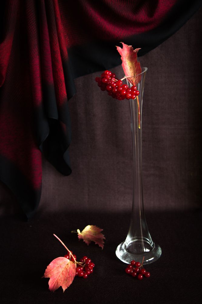 Калина вызрела