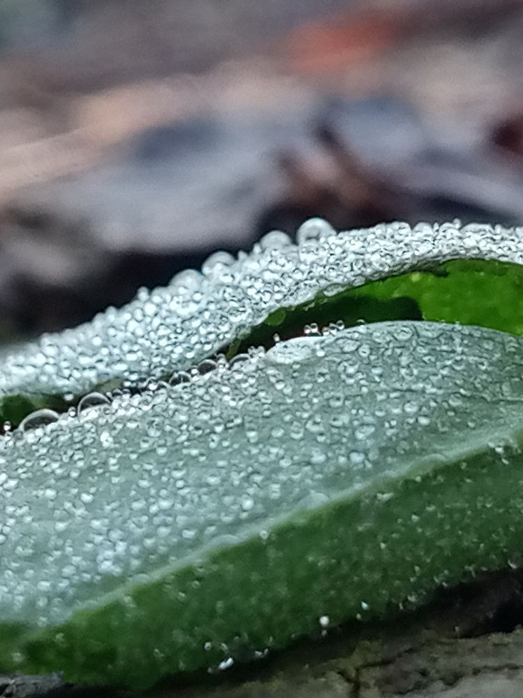 Photograph by Zahra Omar