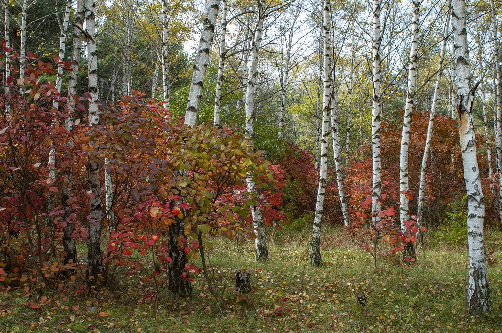 Photograph by Сергей Савчук
