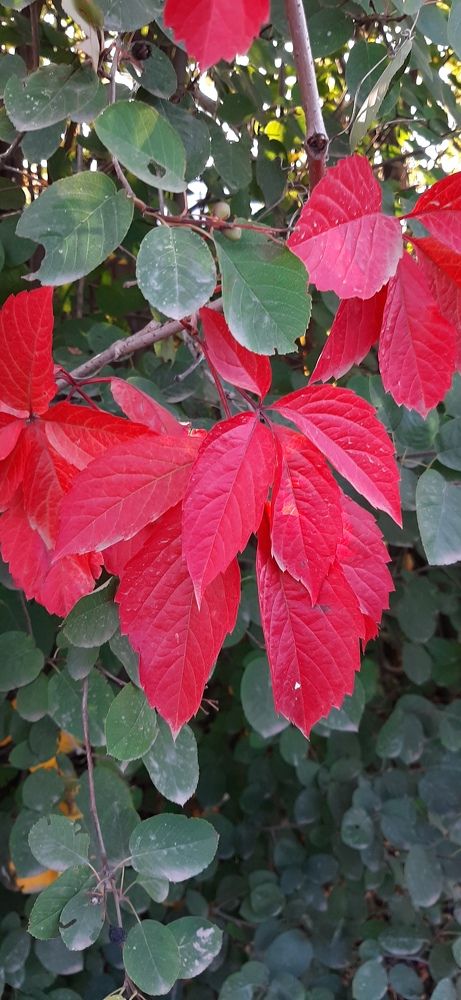 Photograph by Ирина