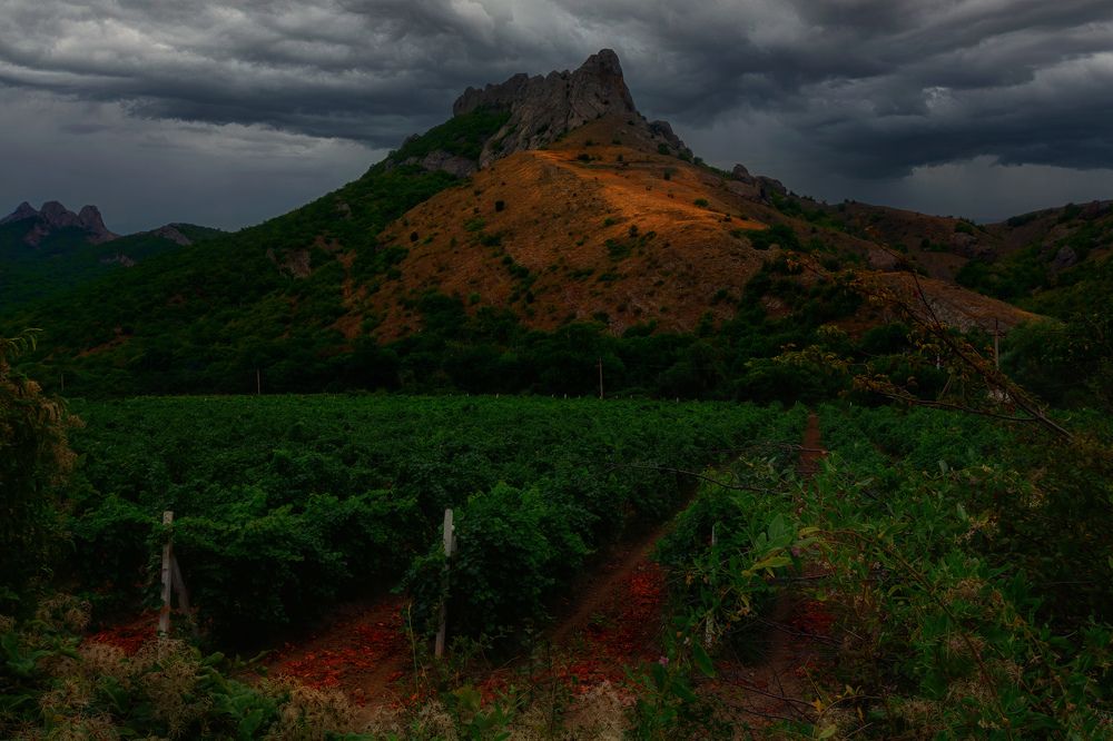 Photograph by Владимир Гамаюнов