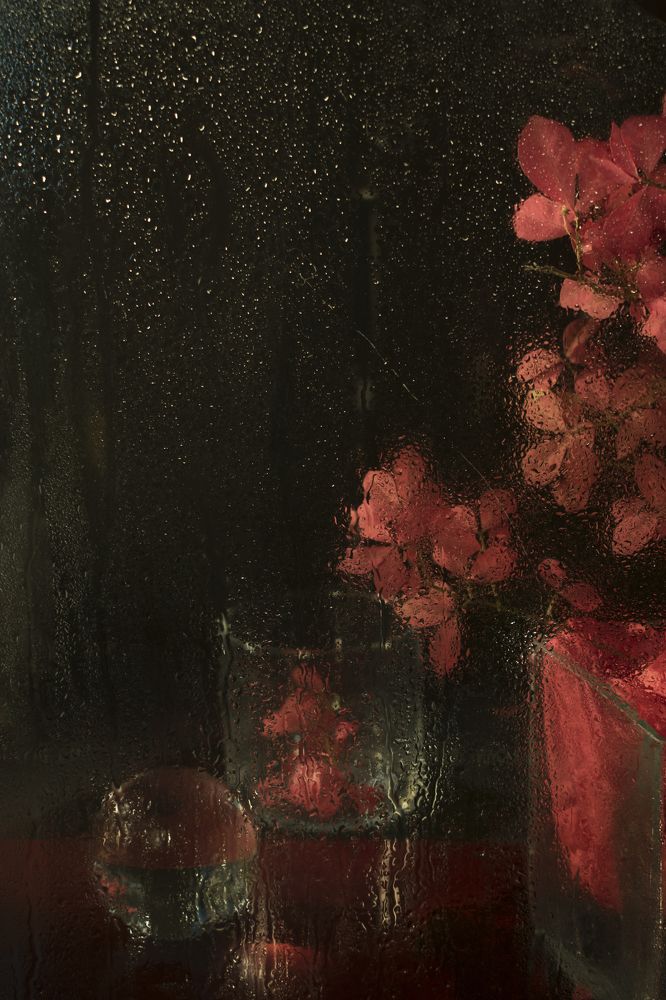 Photograph by Viktoria Alaküla