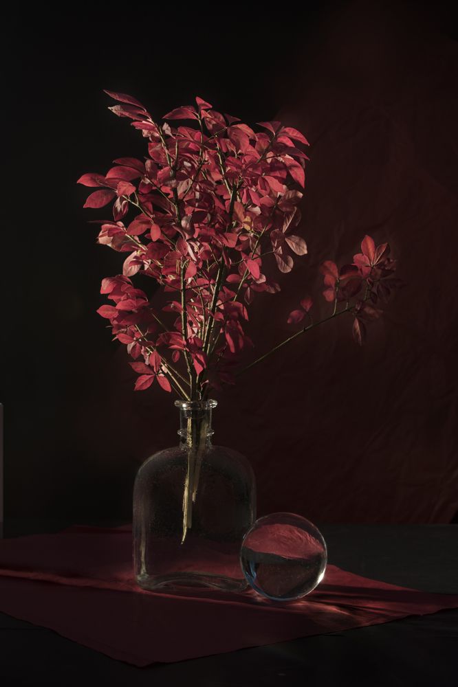 Photograph by Viktoria Alaküla