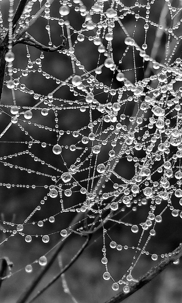 Photograph by Новикова Елена Сергеевна