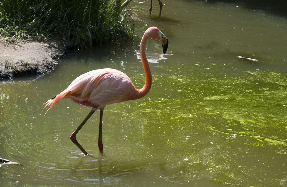 Photograph by Елизавета Большакова