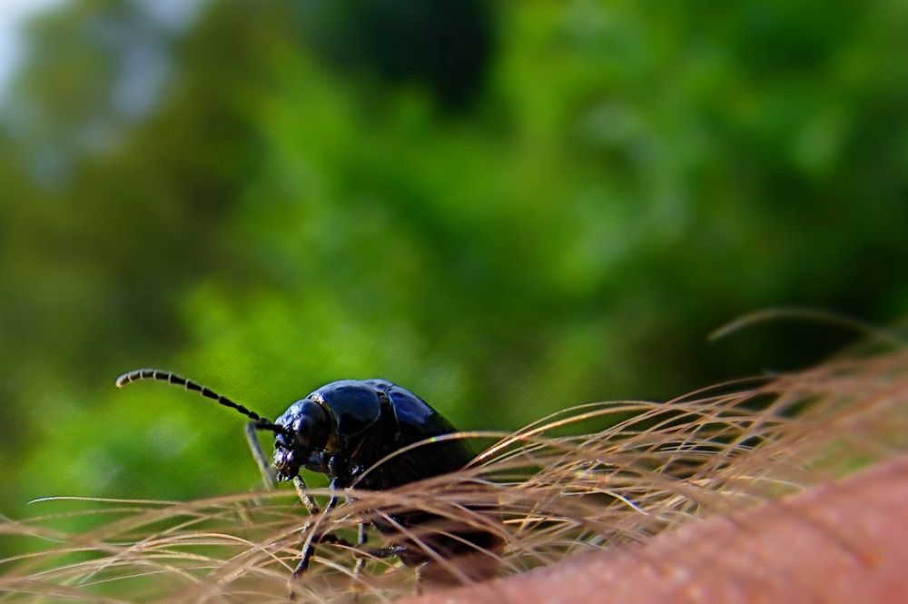 Устал, пора отдохнуть